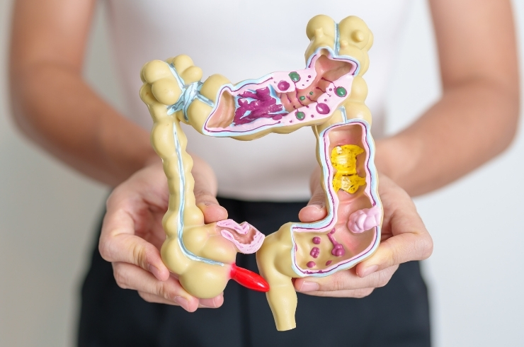 S.V. Multi Speciality Hospital