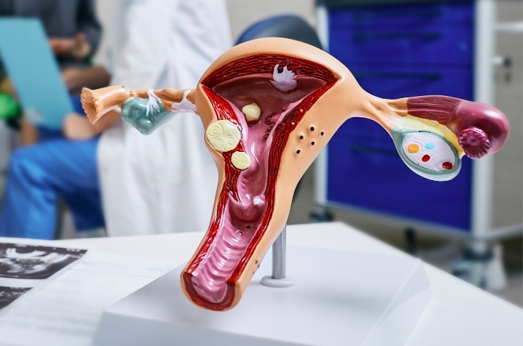 S.V. Multi Speciality Hospital