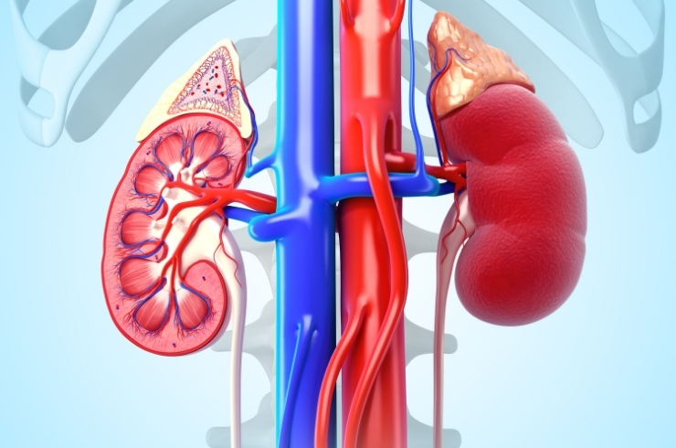 S.V. Multi Speciality Hospital