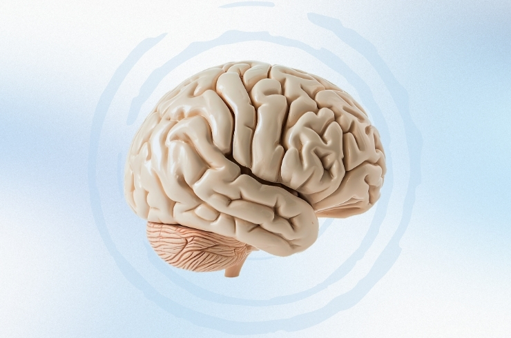 S.V. Multi Speciality Hospital