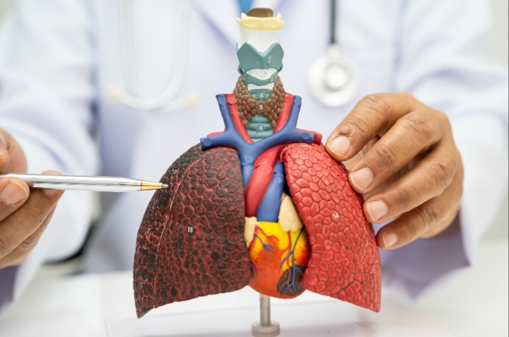 S.V. Multi Speciality Hospital